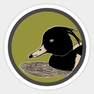 Bufflehead Sticker